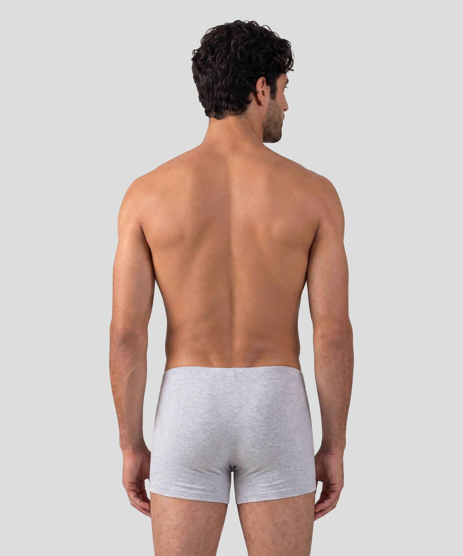 Boxer: Gris chiné