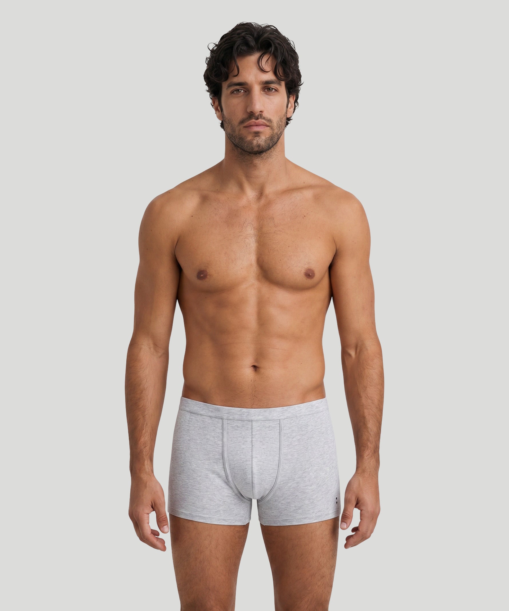 Boxer: Gris chiné