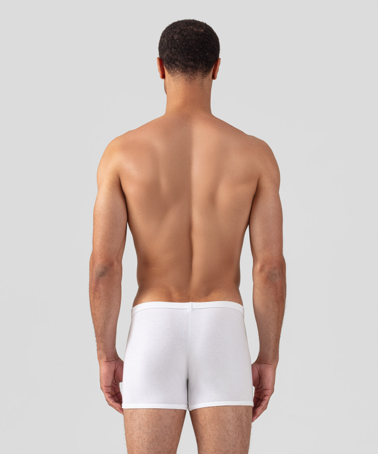 Boxer: Blanc