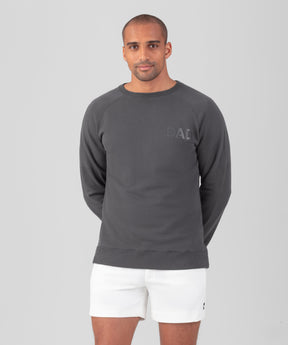 Sweatshirt en coton organique "DAD": Gris lave