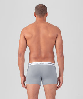 RON DORFF Boxer Briefs: Glacial Blue