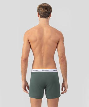 Short de pyjama RON DORFF: Vert ombré