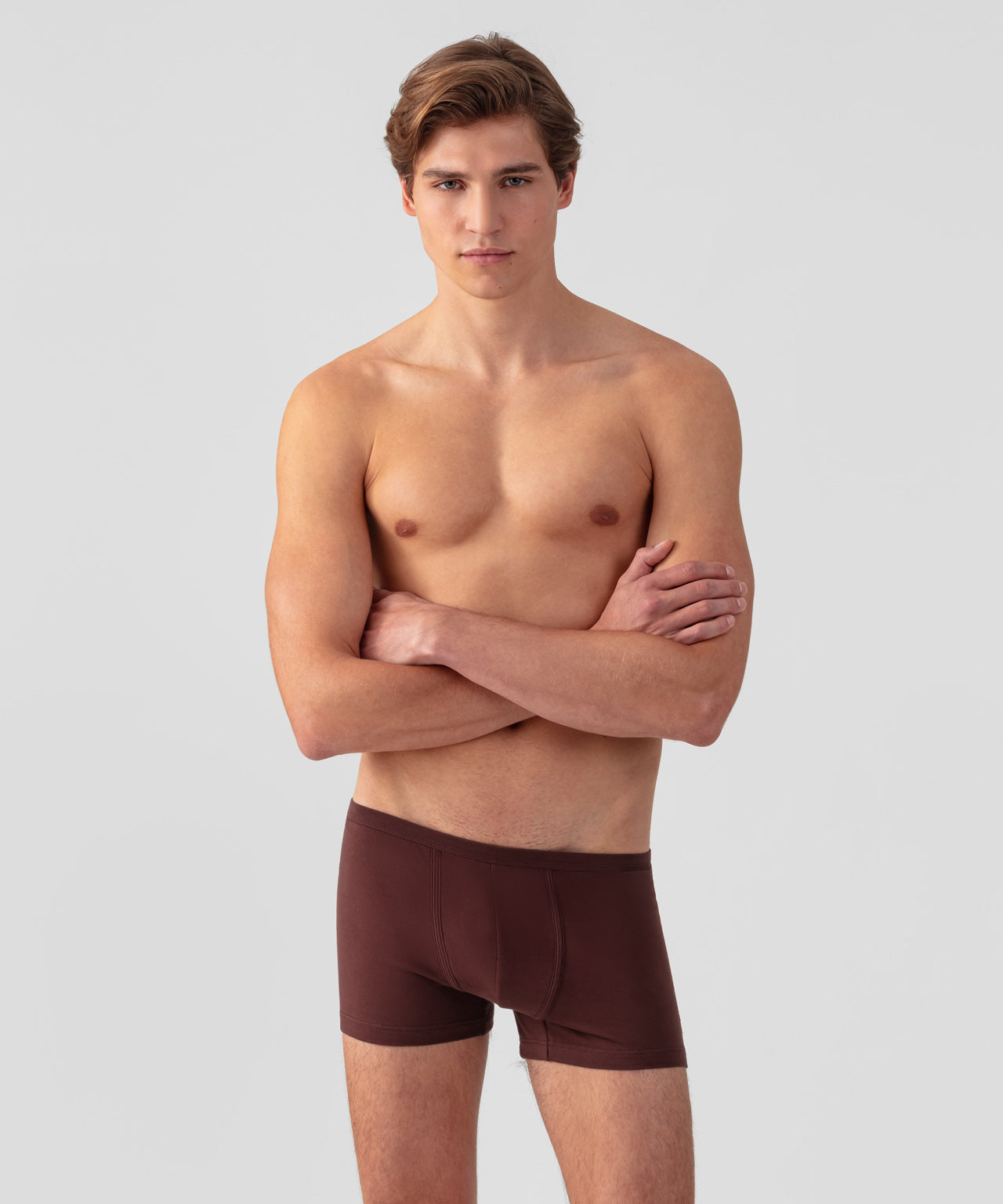 Boxer: Bordeaux