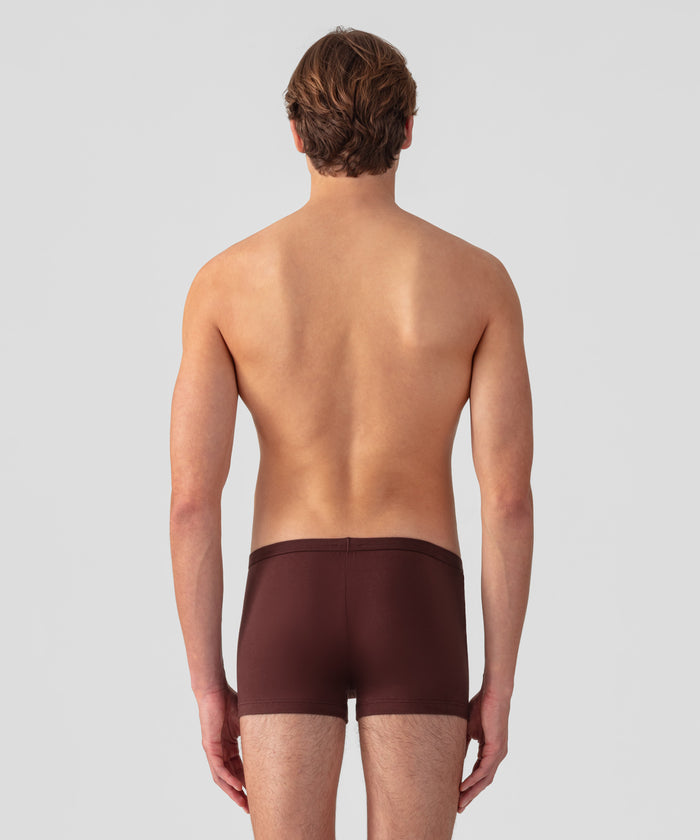 Boxer: Bordeaux