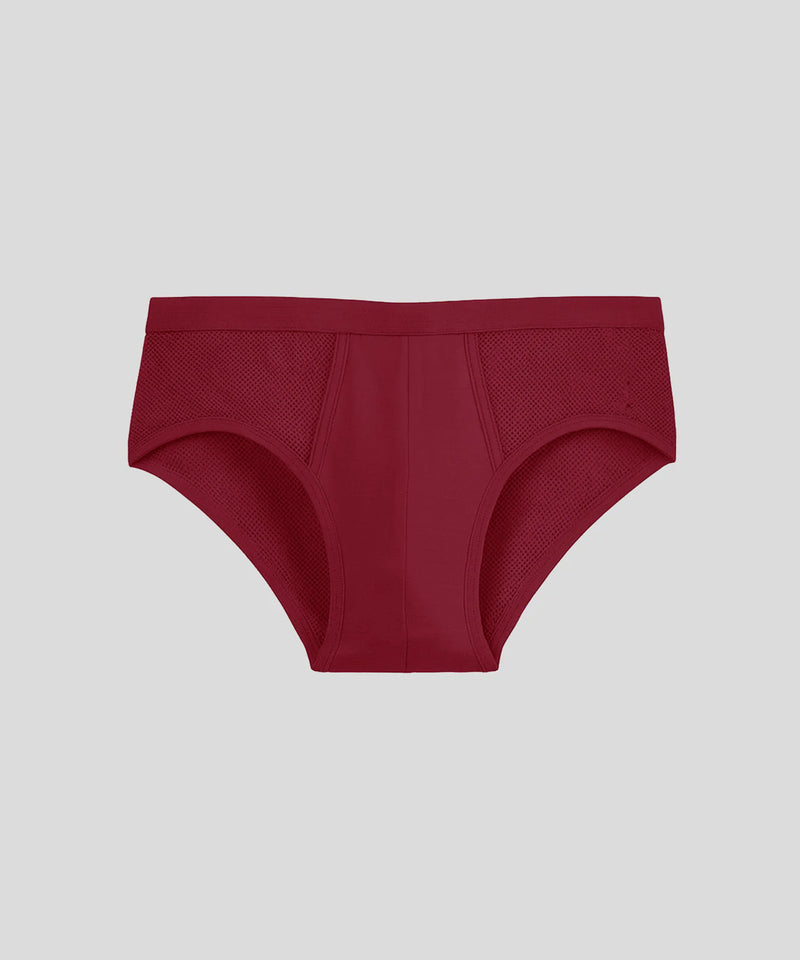 Mesh Y-Front Slips: Rot